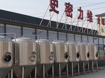 东湖精酿啤酒设备厂—如何判断精酿啤酒设备的密封件需要更换？